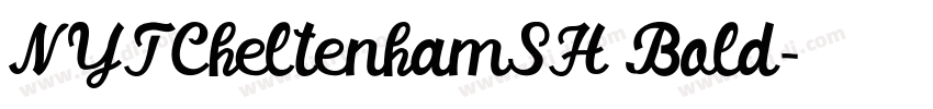 NYTCheltenhamSH Bold字体转换
